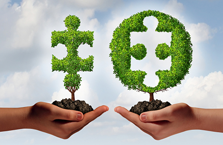 Plant Puzzle Pieces